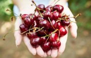 The Anti-Inflammatory Diet for Rheumatoid Arthritis