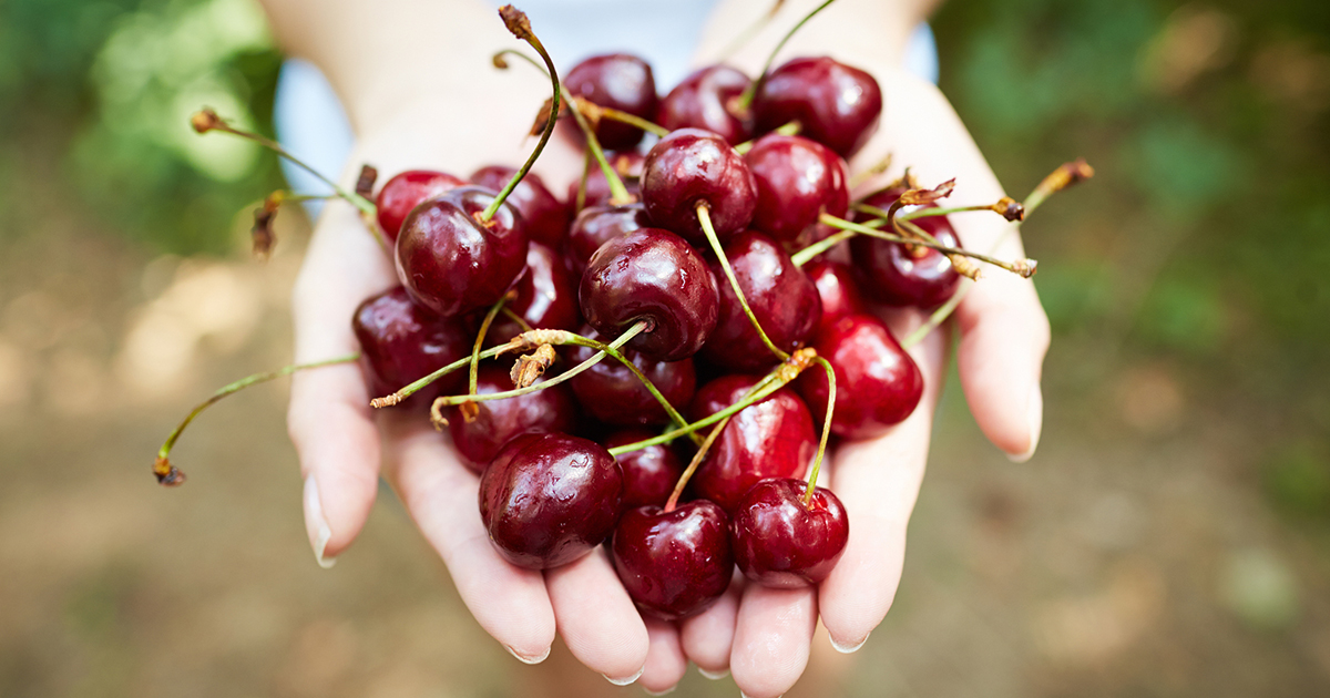 AntiInflammatory Diet for Rheumatoid Arthritis Foods to Include in