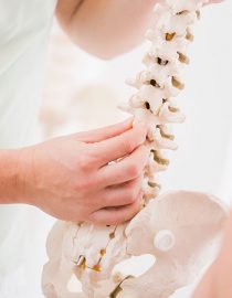 What RA Patients Should Know About Chiropractic Treatment What RA Patients Should Know About Chiropractic Treatment