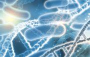 Study Shows Gut Bacteria Has Link to RA